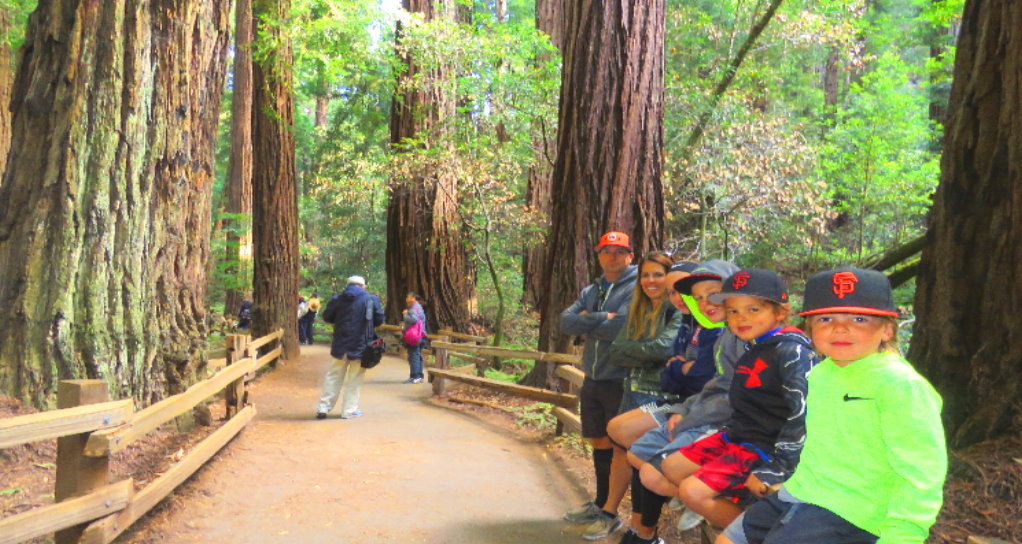 Muir Woods park of redwoods private tour from San Francisco family friendly attractions